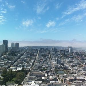 Meet your Posher, Sophie